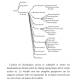 Circulations linguistiques dans les noms propres - Onomastique occitane - Onomastica occitana - Michel Tamine - Estrach