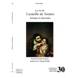 La vie de Lazarillo de Tormes, fortunes et adversités