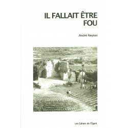 Il fallait être fou - André Neyton