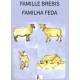 Las bèstias de la bòria - Les bêtes de la ferme (card game) - Card Feda family