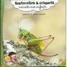 Sauterelles & Criquets racontés aux enfants - Sandrine & Olivier Tourillon