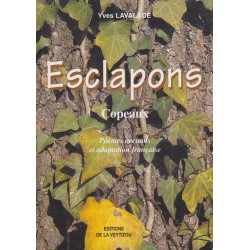 Esclapons – Copeaux - Yves Lavalade