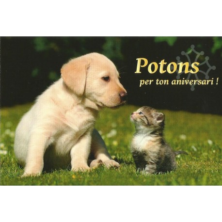 Carte postale - Potons per ton aniversari!