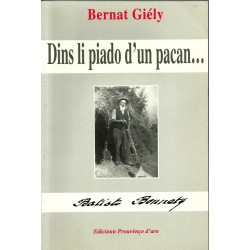 Dins li piado d'un pacan - Bernat Giély - Couverture