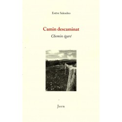 Estève Salendres - Camin descaminat (Chemin égaré)