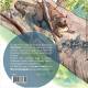 La Garrigueta e lo Nogat - Fèliç Daval (Livre + CD)