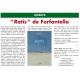 Ratis - Enrieto DIBON (Farfantello) - Article Prouvenço d'aro n°323 - 07-2016