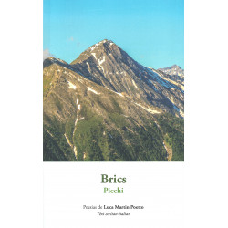 Brics - Poesias de Luca Martin Poetto