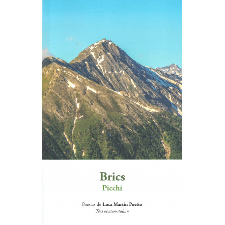 Brics - Picchi - Poesias de Luca Martin Poetto