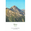 Brics - Poesias de Luca Martin Poetto