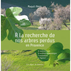 Les Alpes de lumière n°164 A la recherche de nos arbres perdus en Provence - Magali AMIR