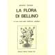 La flora di Bellino e il suo ruolo nella tradizione popolare - Giovanni Bernard